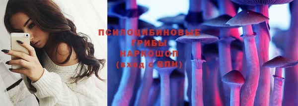 молекула духа Нефтекумск
