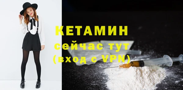 индика Надым