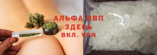 молекула духа Нефтекумск