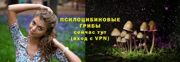 эйфоретик Нея