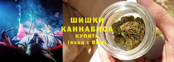 молекула духа Нефтекумск