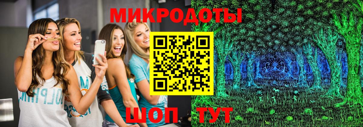 Галлюциногенные грибы Psilocybine cubensis Переславль-Залесский