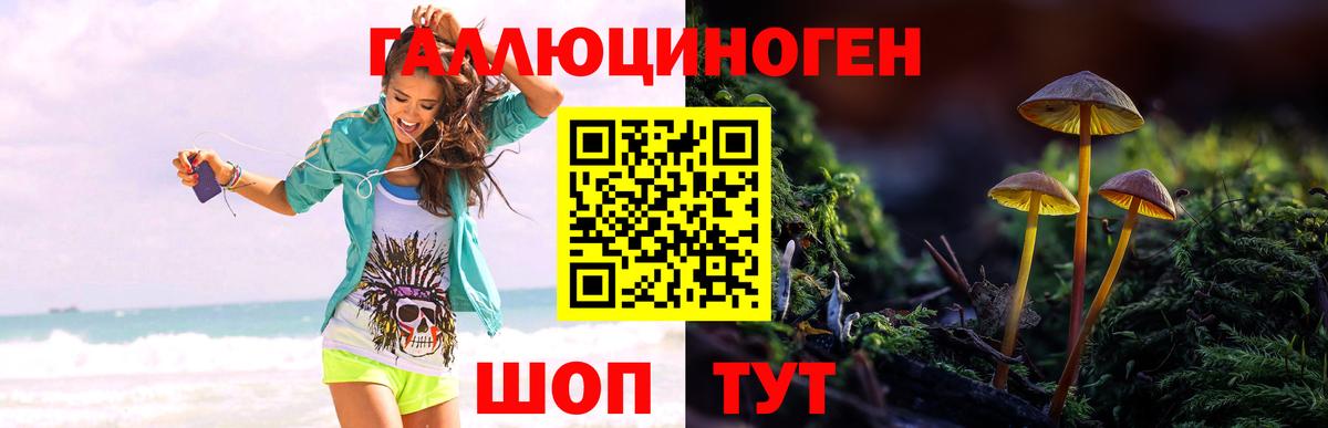 Галлюциногенные грибы Psilocybine cubensis Переславль-Залесский